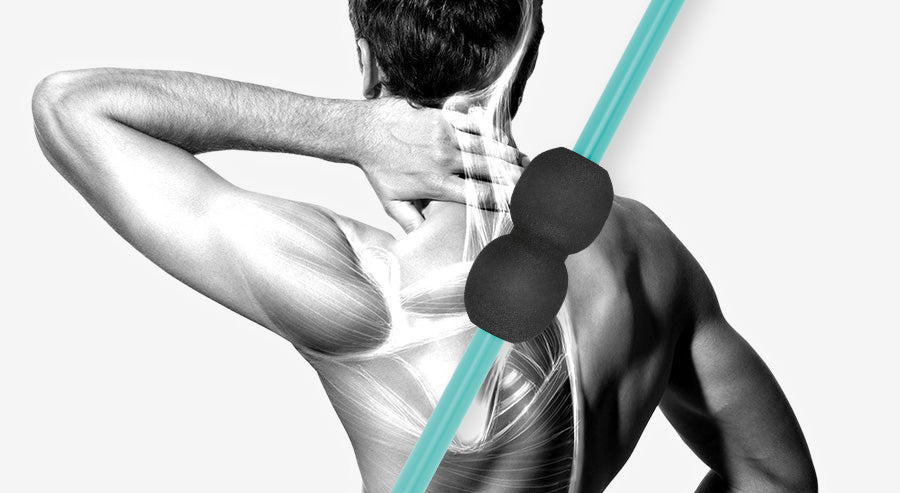 Rückenmuskulatur eines Mannes. 